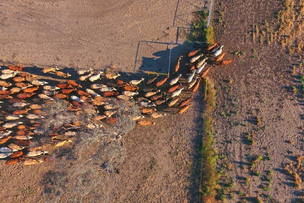 Aglend-is-Australias-market-leader-in-agricultural-finance.jpeg
