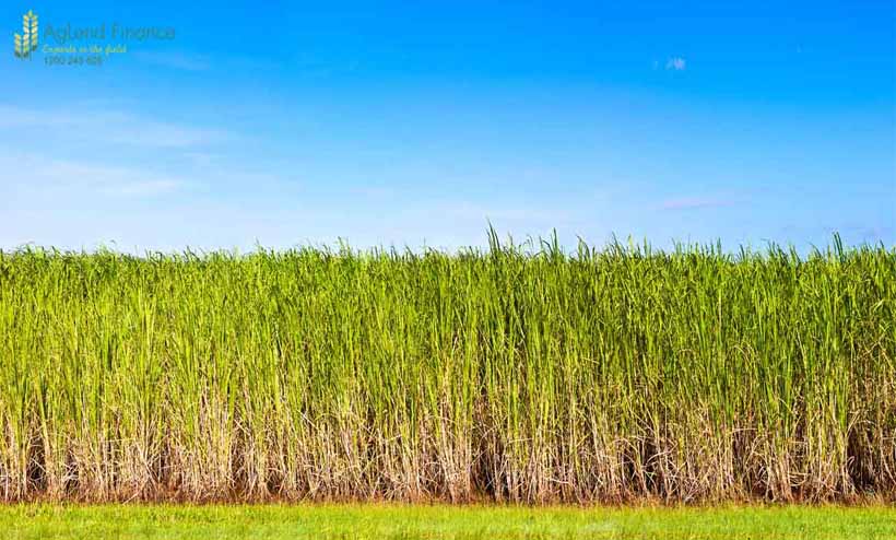 Farm Finance