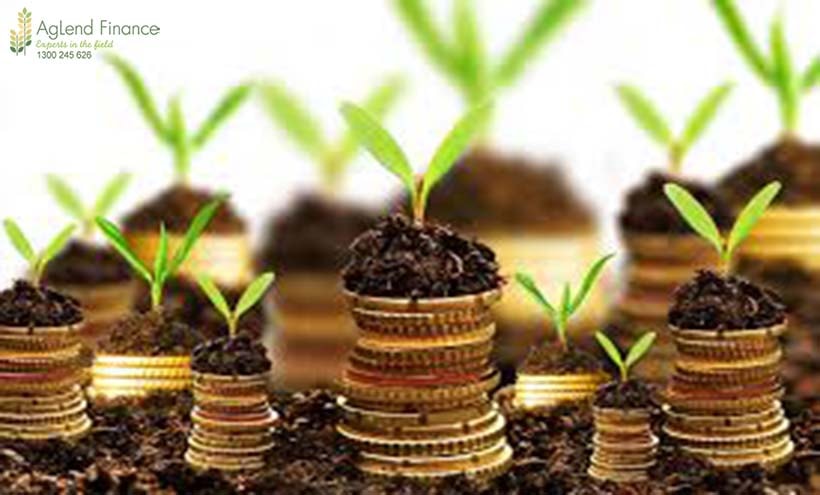 Can you borrow to grow your business?