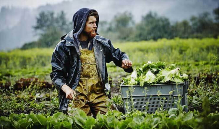 agrifinance-grower-qld.jpg