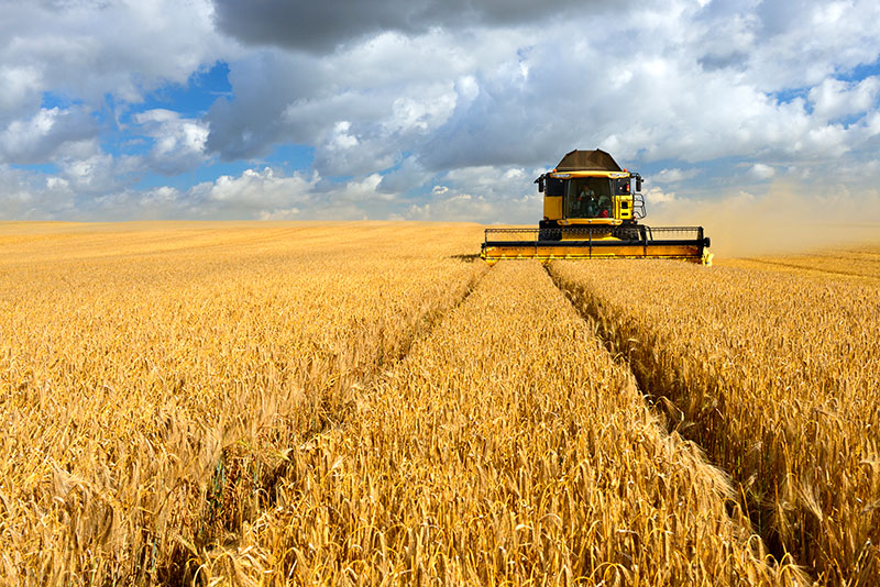 farm-credit