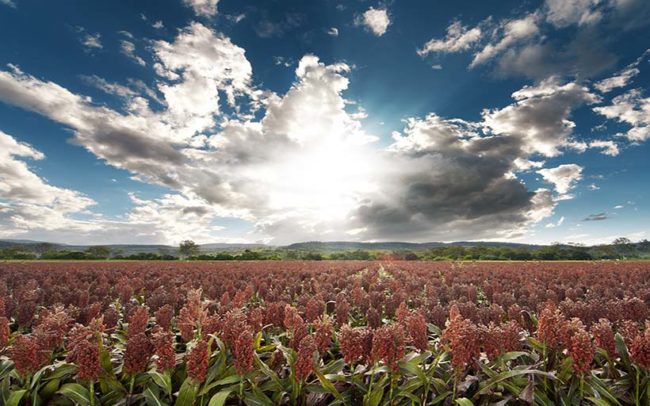 rural-mortgage-loans-australia