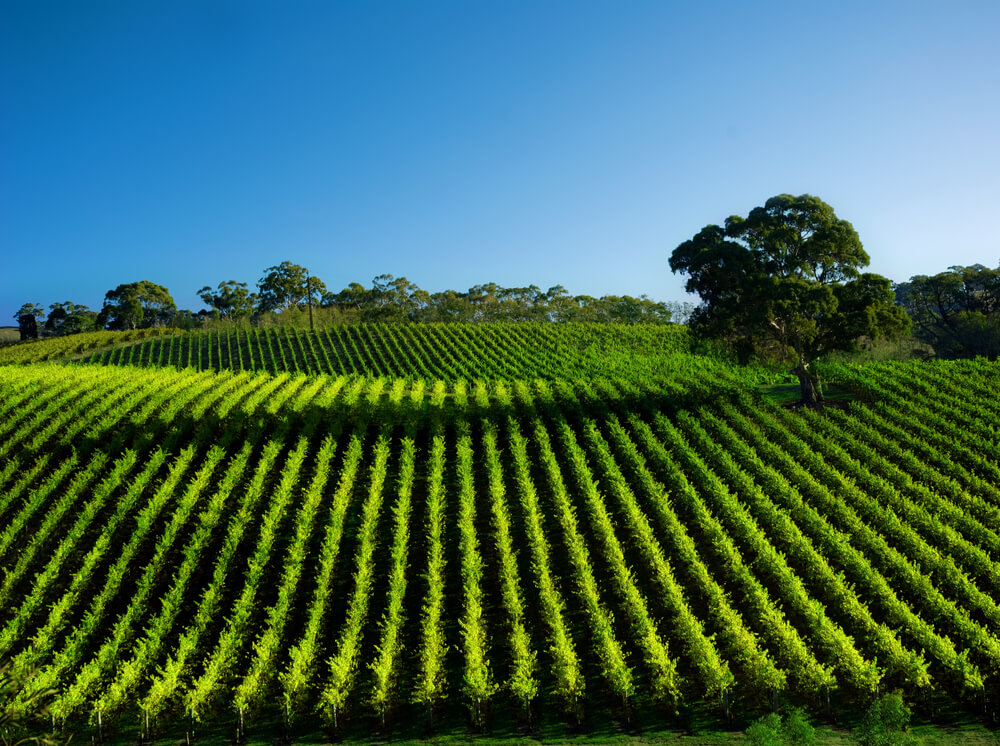 acreage-loans-australia