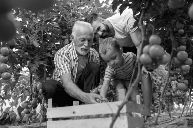 agrifinance-broker-aglend.jpg
