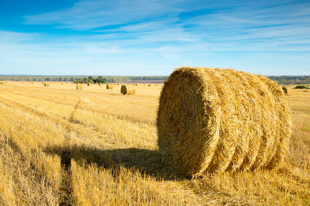 Is Rural Property a Good Investment?