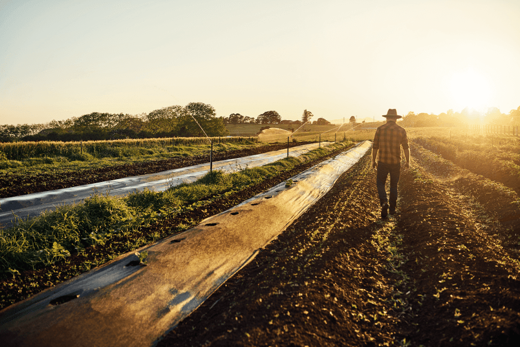 what-is-an-agribusiness-specialist