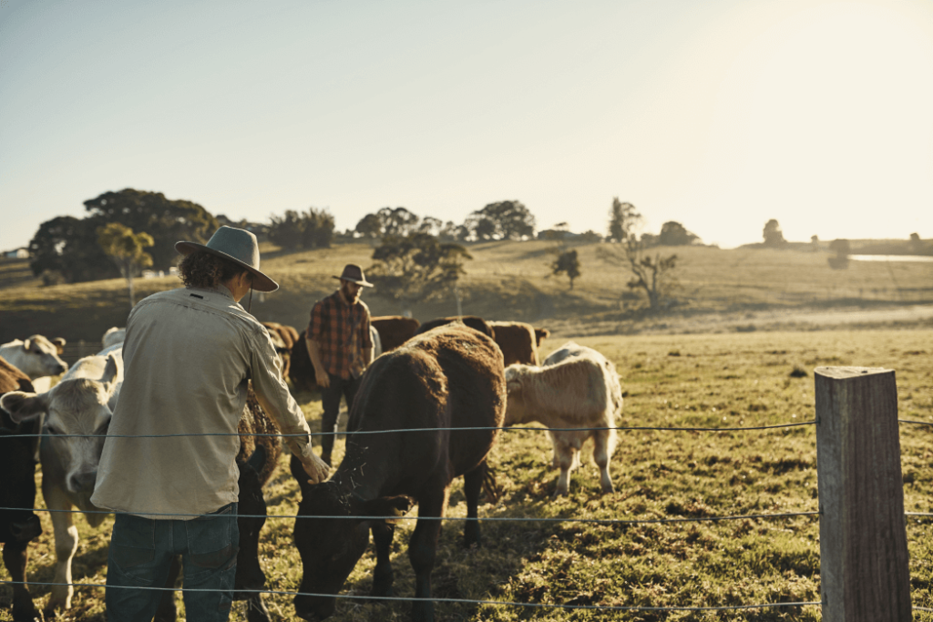 farm-loan-for-beginning-farmers-australia
